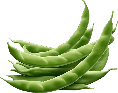 Organic Sweet Proppol