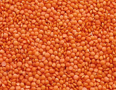 Our red lentils are precision-cleaned, uniformly graded, and processed using advanced technology to ensure superior quality, excellent cooking performance, minimal impurities, and consistent size. Ideal for both retail and industrial food applications.