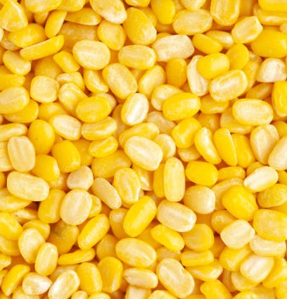 Our moong dal is sourced from select regions with ideal agro-climatic conditions, ensuring high protein (22–24%), low moisture (