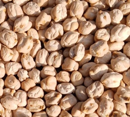 Kabuli Chana is machine-cleaned and graded for uniform size, low moisture, and minimal foreign matter. It offers high protein content, excellent hydration capacity, and superior cooking quality. Ideal for bulk processing, packaging, and culinary applications