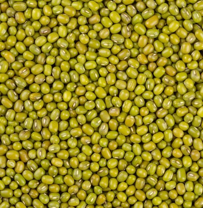 Super Bold Size , Lush Green Colour -Free From Moulds, Weevilled, Obnoxious Smell, Discoloration, Admixture Of Deleterious Substances