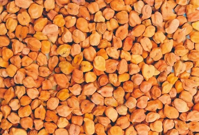 Organic farms avoid toxic inputs, improve soil health, grow clean, sustainable food that supports nature.