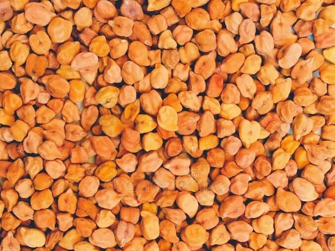 Organic farms avoid toxic inputs, improve soil health, grow clean, sustainable food that supports nature.