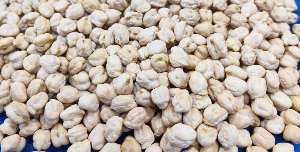 Organic farms avoid toxic inputs, improve soil health, grow clean, sustainable food that supports nature.