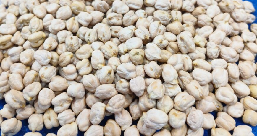 Organic farms avoid toxic inputs, improve soil health, grow clean, sustainable food that supports nature.